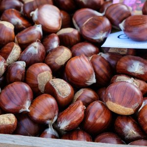 Castanha Castanha