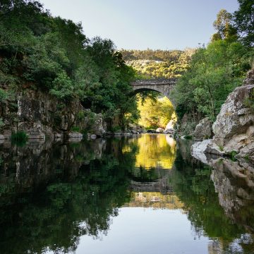 Ponte Brasileiro
